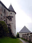 P1010007.jpg