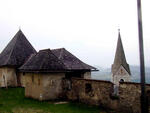 P1010009.jpg