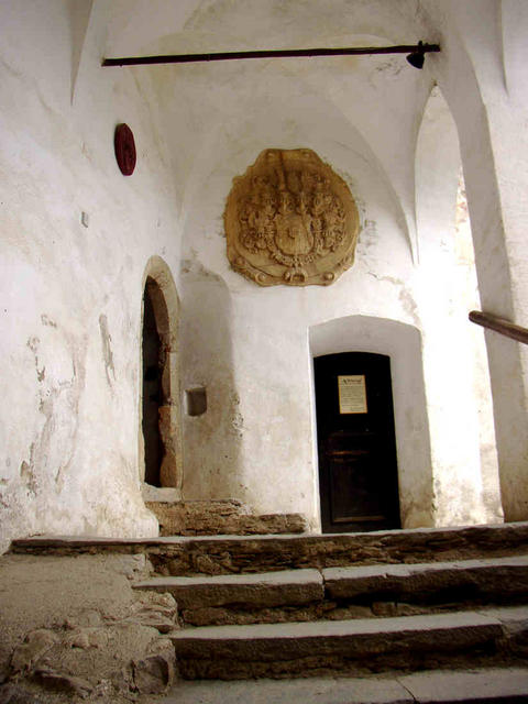 P1010012.jpg