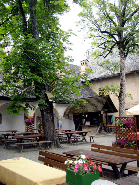 P1010014.jpg