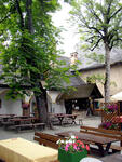 P1010014.jpg