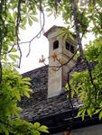 P1010015.jpg